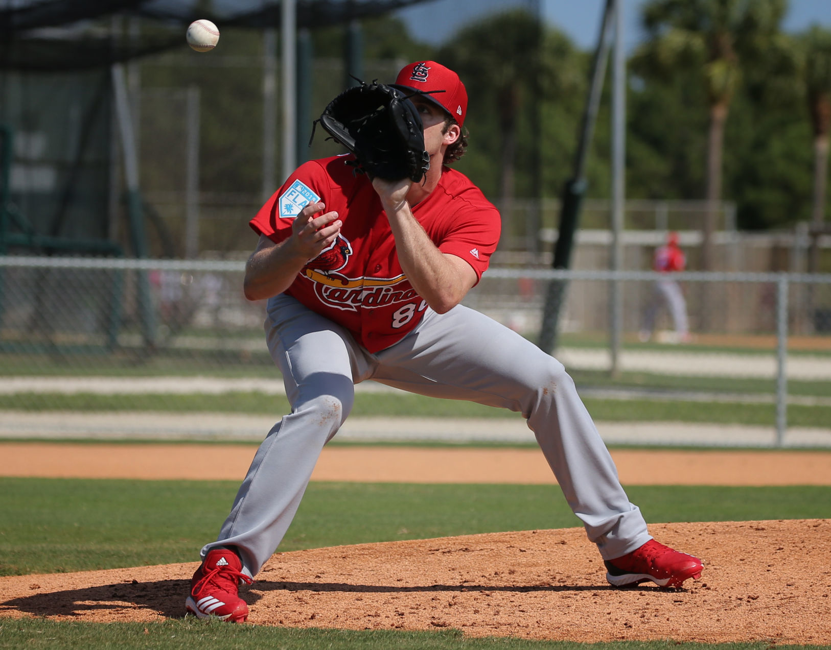 2019 Cardinals spring training